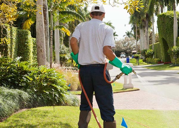 About Alexander AR Pest Control Pros